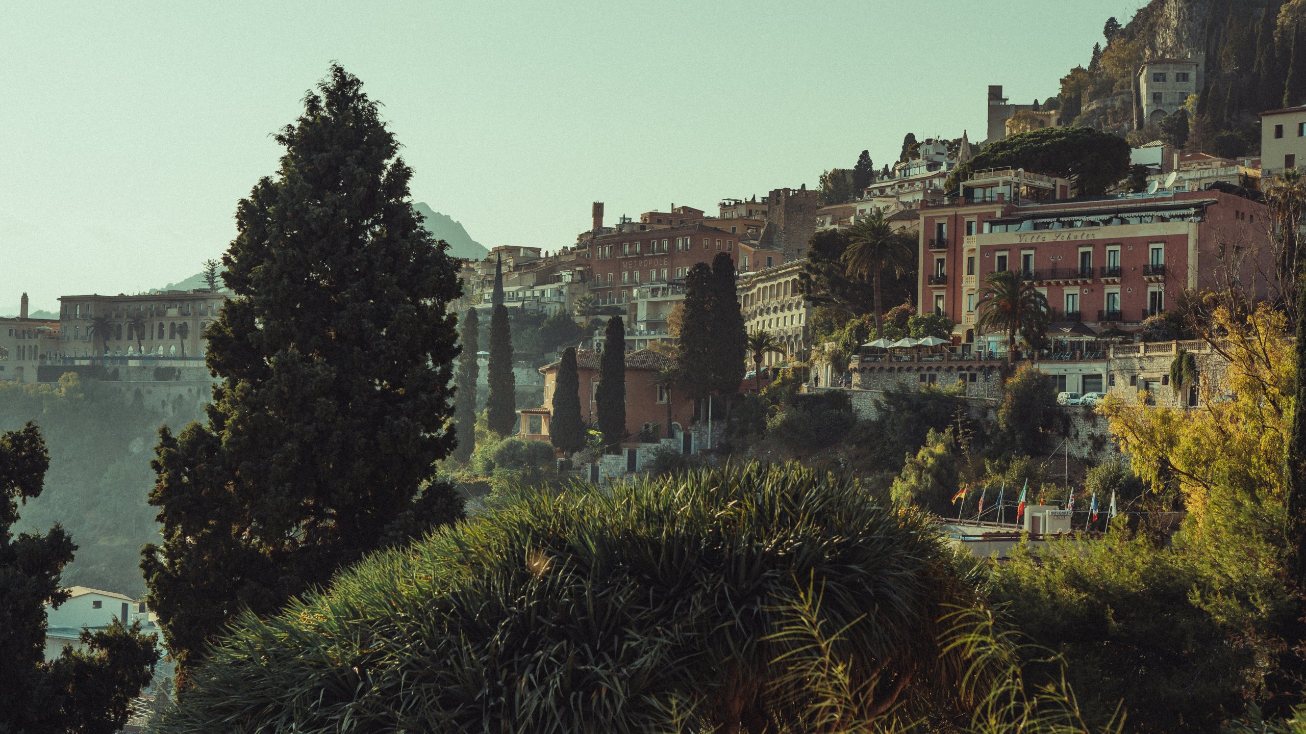 Katania1-3867-20231013-16-57-35_r_Red