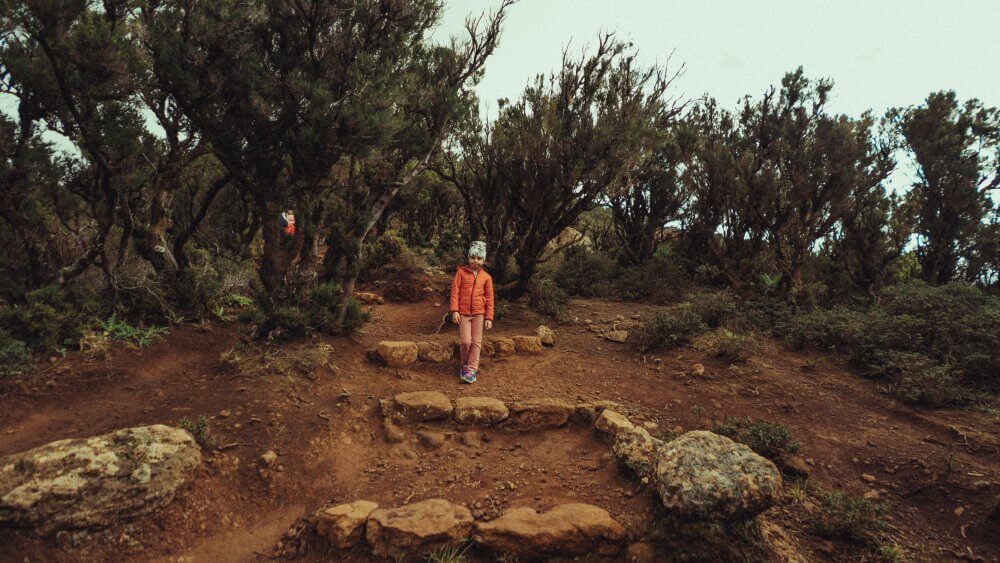 Teneryfa-03556-20220125-16-44-43_r5