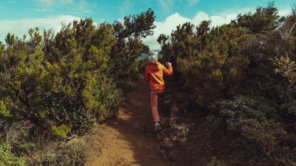 Teneryfa-03696-20220125-17-20-20_r5