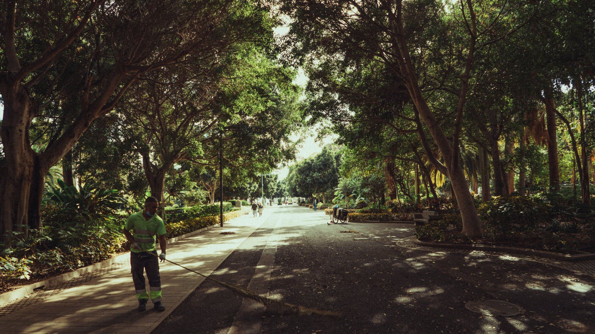 Teneryfa-03802-20220127-17-08-43_r5